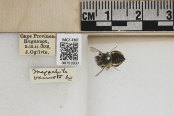 Media type: image;   Entomology 793937 Aspect: Labels
